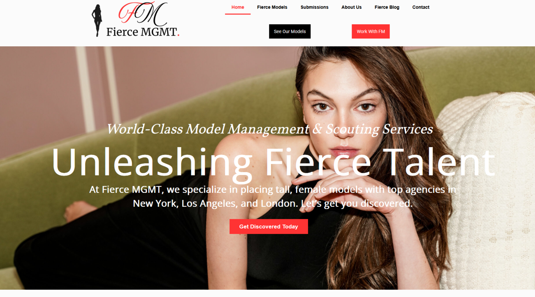 Affordable Custom Web Development Packages